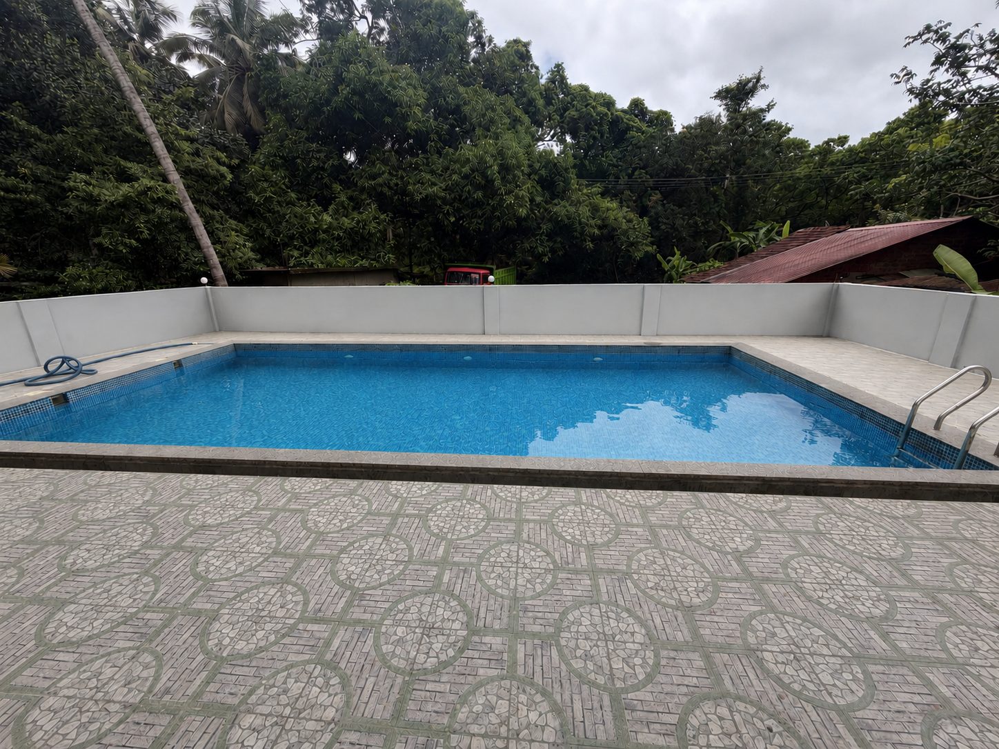 The Peaceside pool with palms